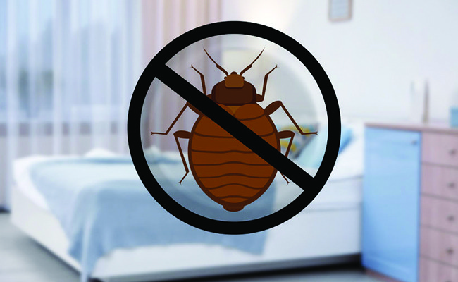 Après traitement professionnel