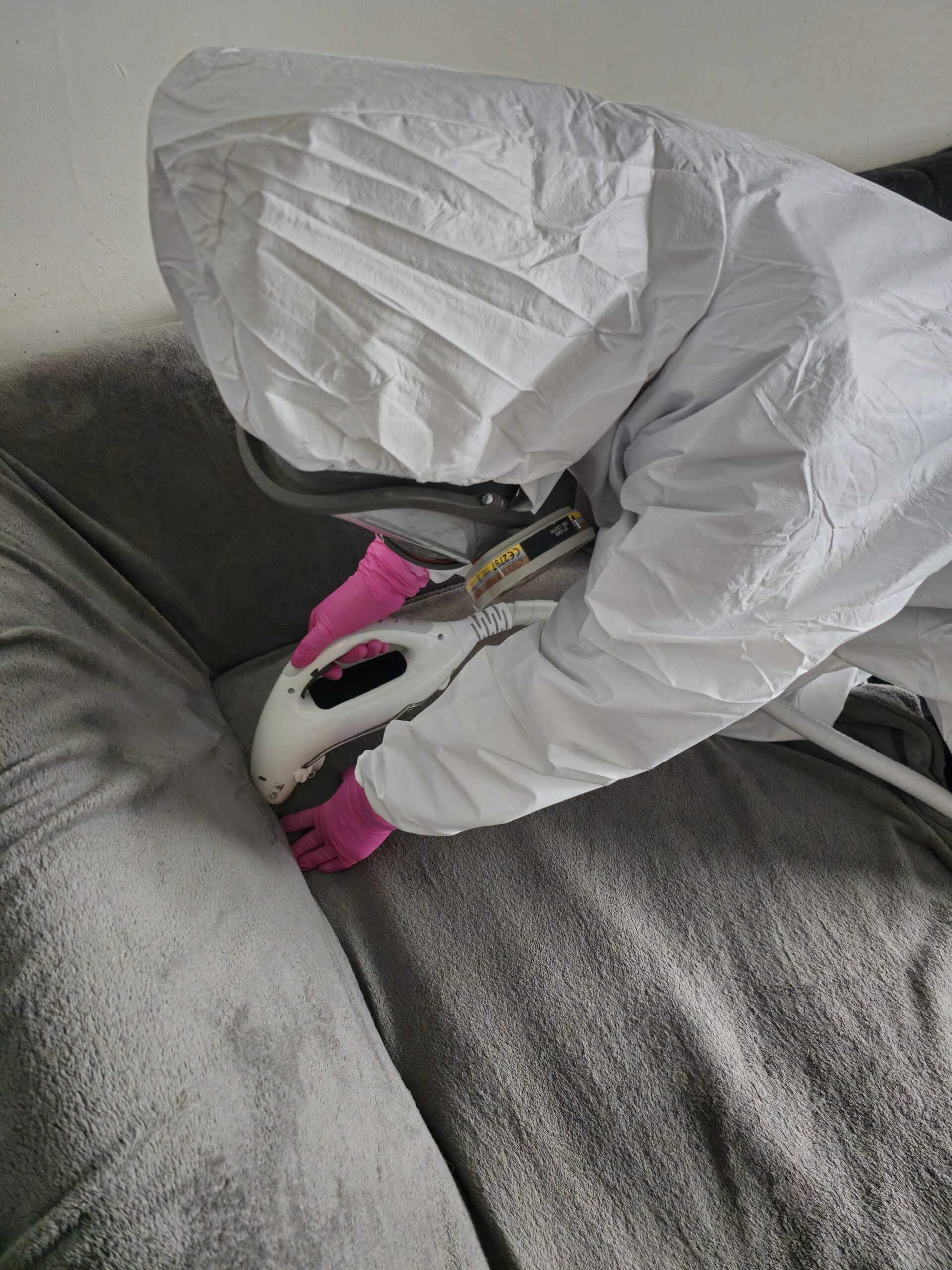 Traitement professionnel punaises de lit Paris 75008