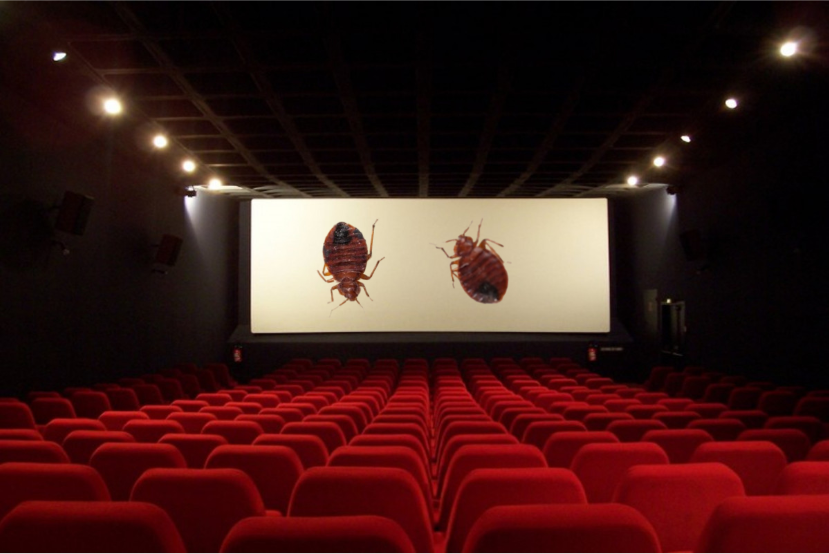 Punaises de lit Cinéma