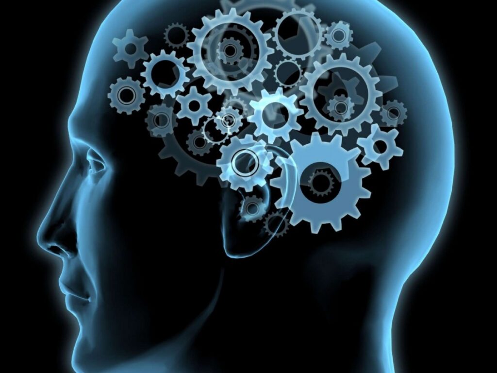Punaises de lit : Combien de temps faut-il pour se remettre psychologiquement ? Illustration sur la récupération émotionnelle après une infestation de punaises de lit, symboles de stress et retour à la sérénité.
