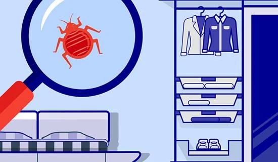Punaises de lit : Comment organiser son appartement avant le passage d'un professionnel ? Illustration montrant appartement préparé avec mobilier déplacé, objets protégés et zones dégagées.