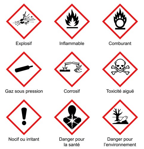 Punaises de lit Danger 