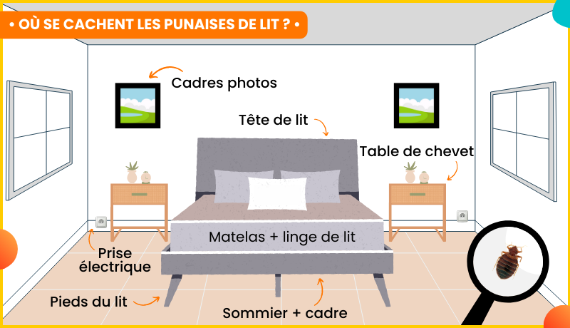 Punaises de lit prévention : Les endroits ou elles se cachent