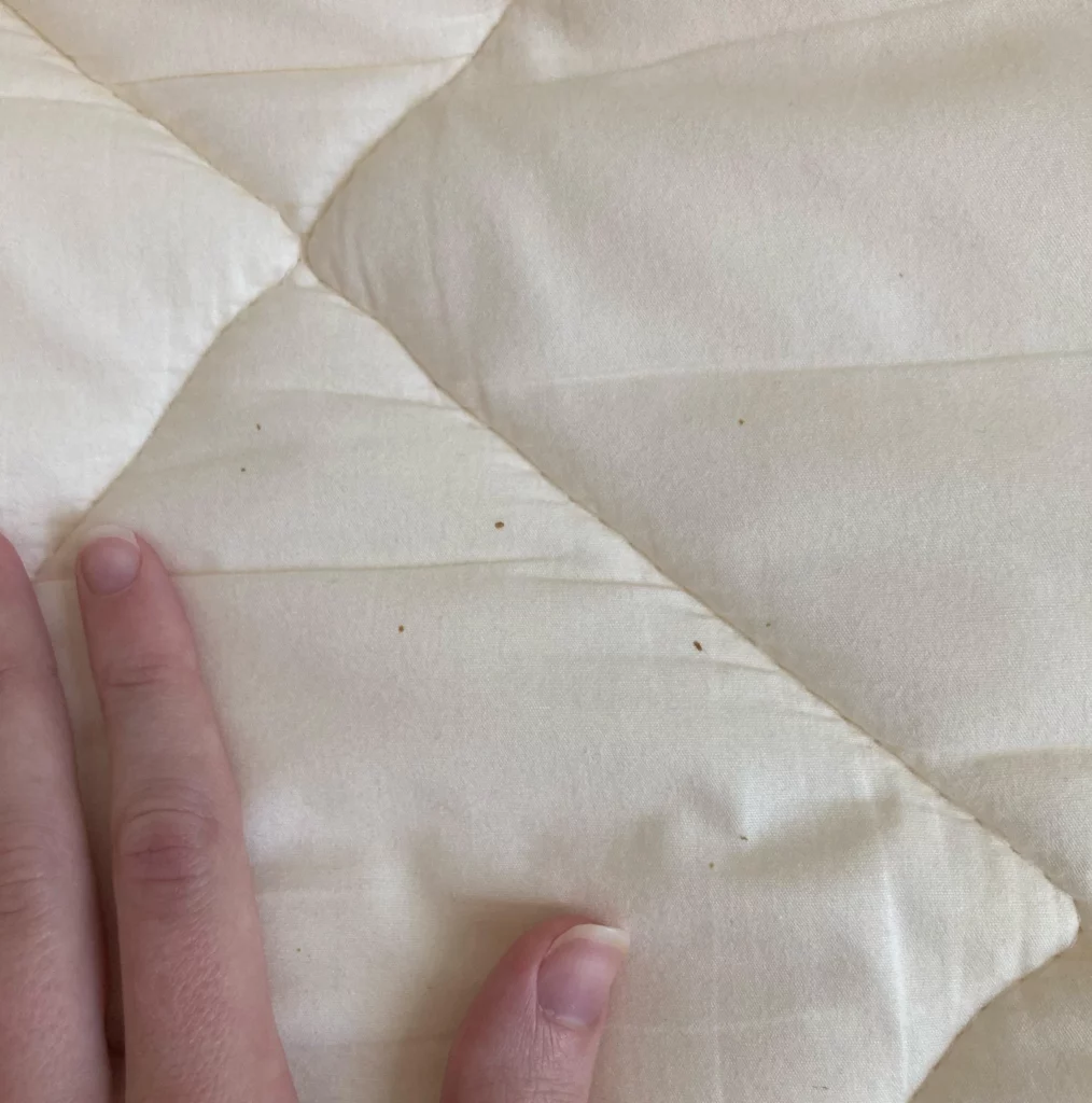 tache noire de punaises de lit sur un drap blanc, signes caractéristiques d'une infestation