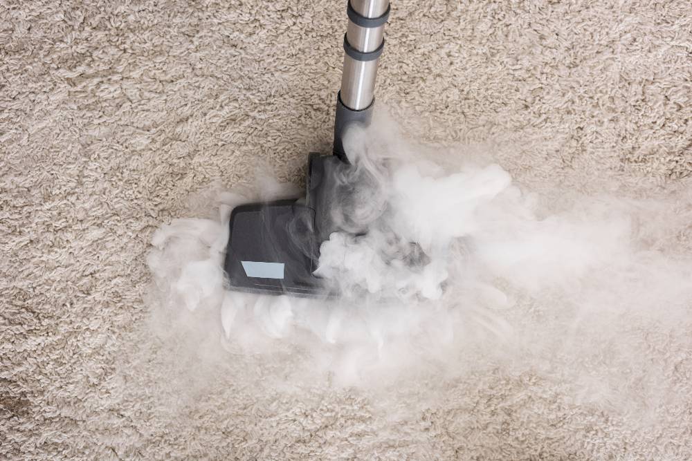 Punaises de lit - Tapis nettoyage vapeur
